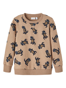 Boys Mini Dino Sweatshirt