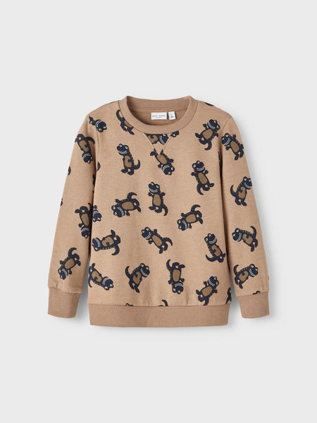 Boys Mini Dino Sweatshirt