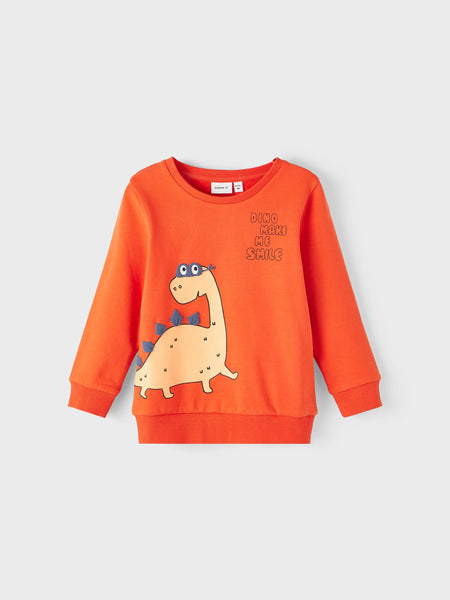Boys Mini Dino Smile Sweatshirt