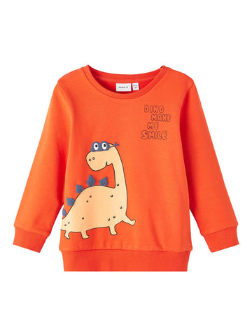 Boys Mini Dino Smile Sweatshirt