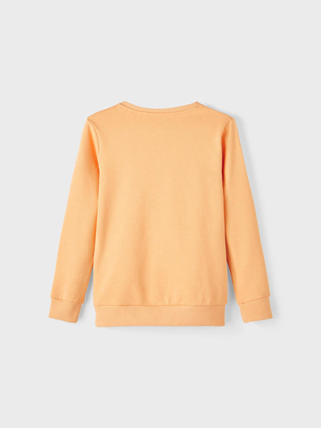 Boys Orange Logo Sweatshirt