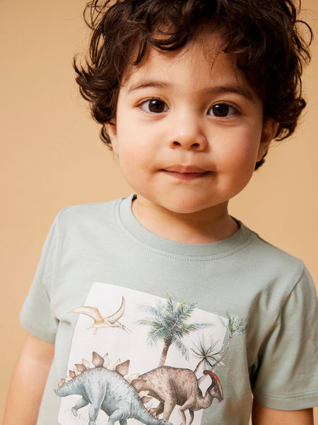 Boys Mini Iceberg Green Dino T-shirt