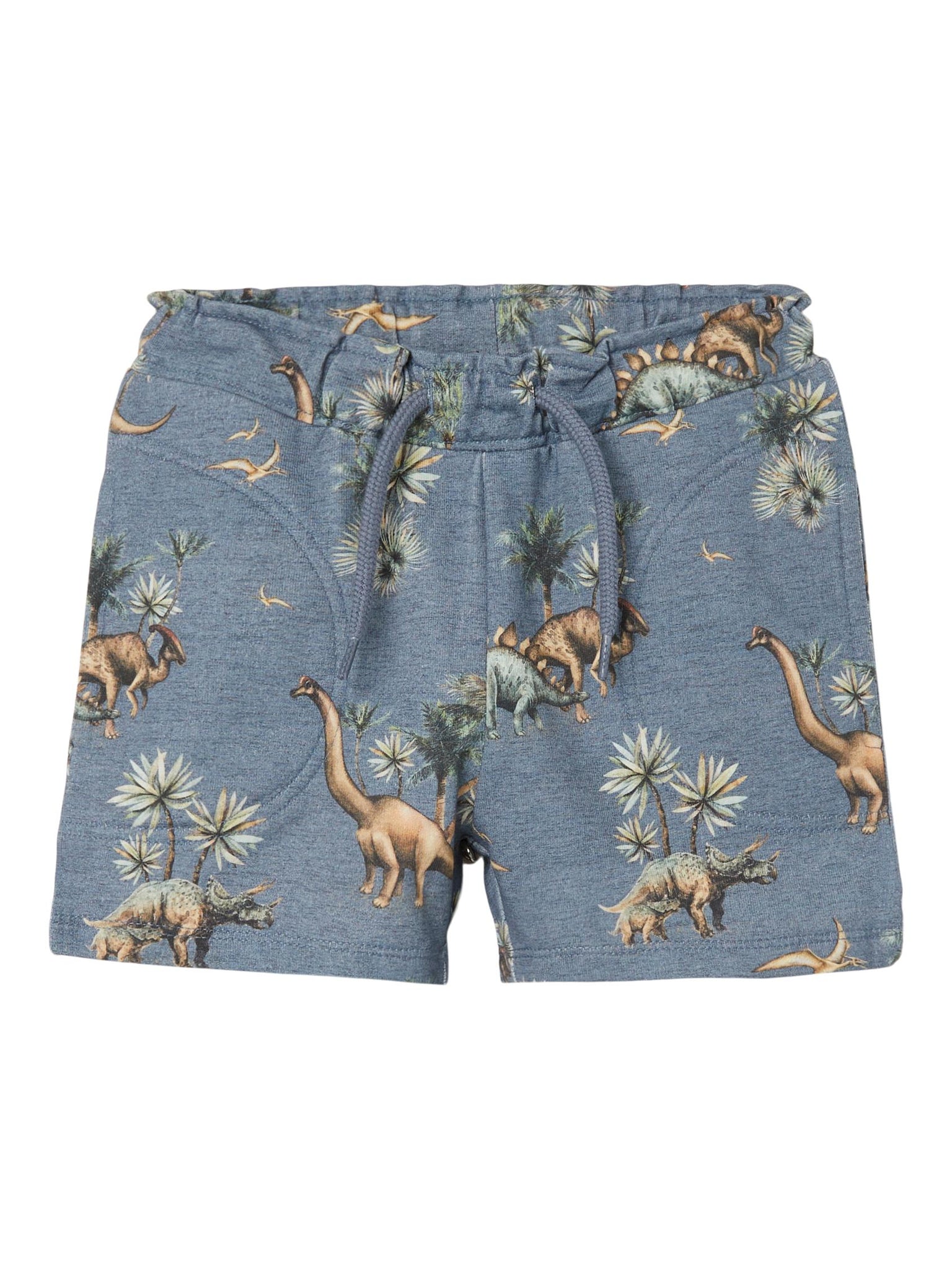 Boys Mini Dino Shorts