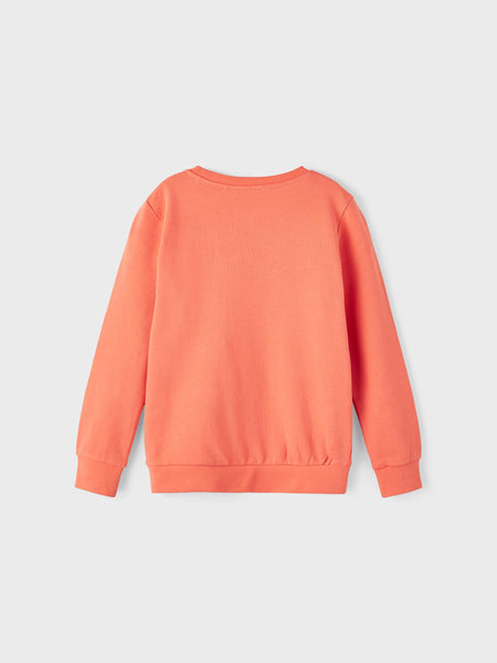 Boys Orange Bulldog Teams Sweatshirt