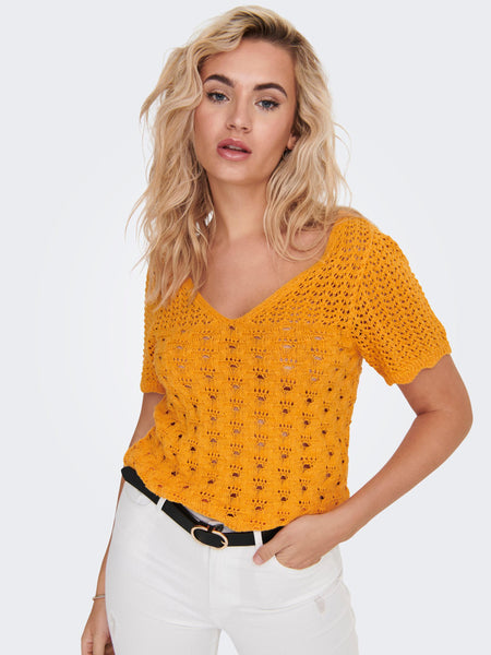 Only Crochet Short Sleeve Top