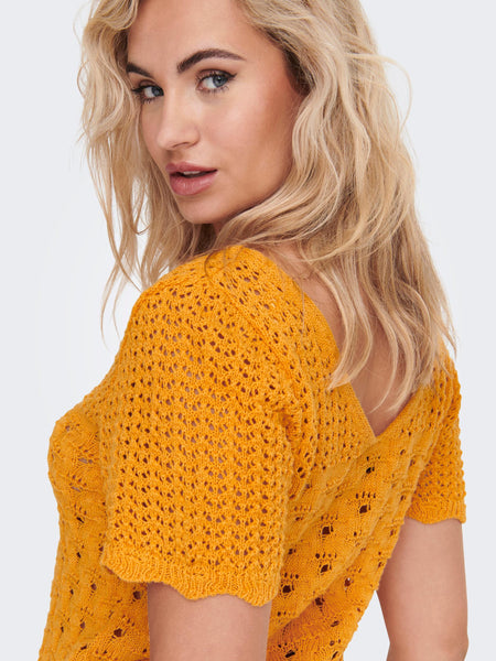 Only Crochet Short Sleeve Top