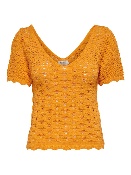 Only Crochet Short Sleeve Top